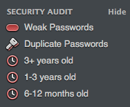 Security audit