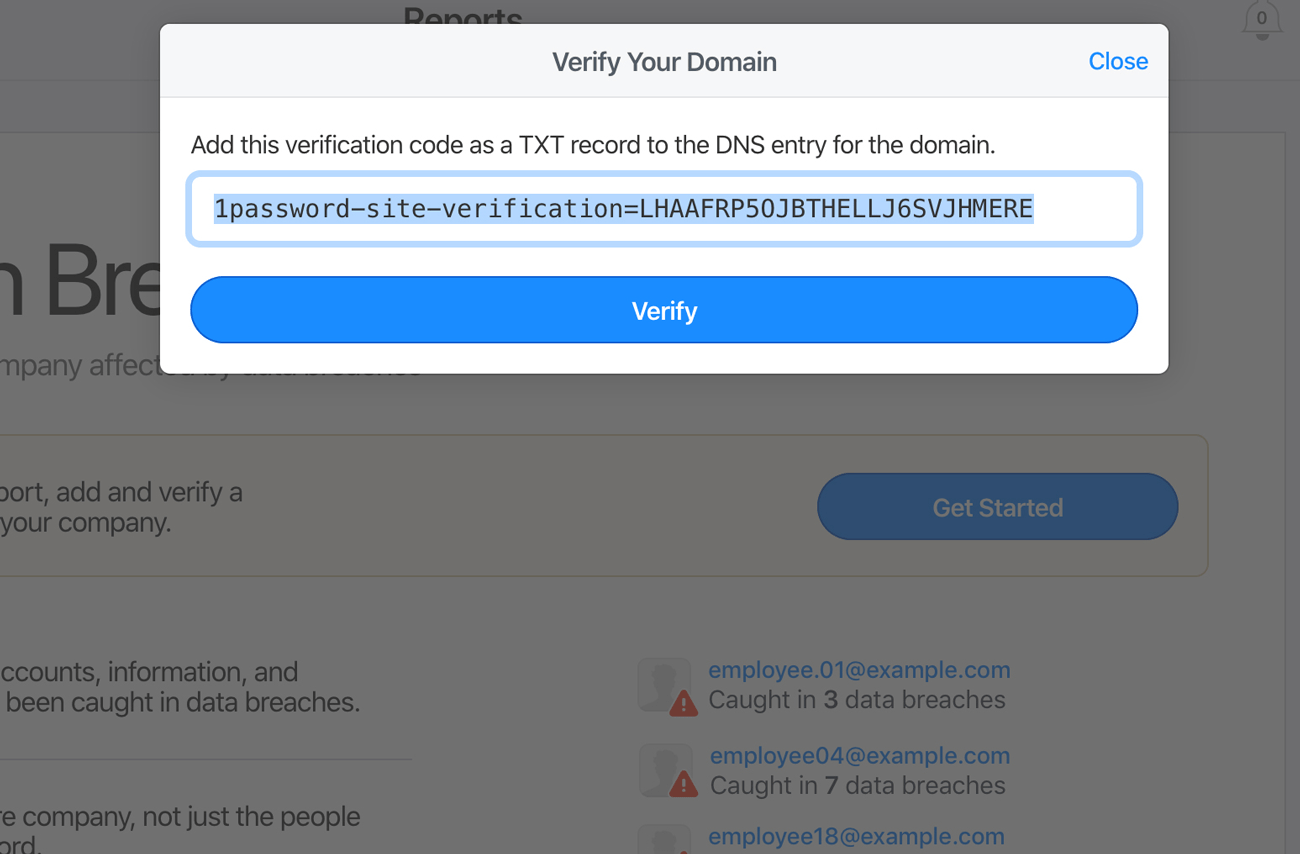 Screenshot of verifying domain by DNS