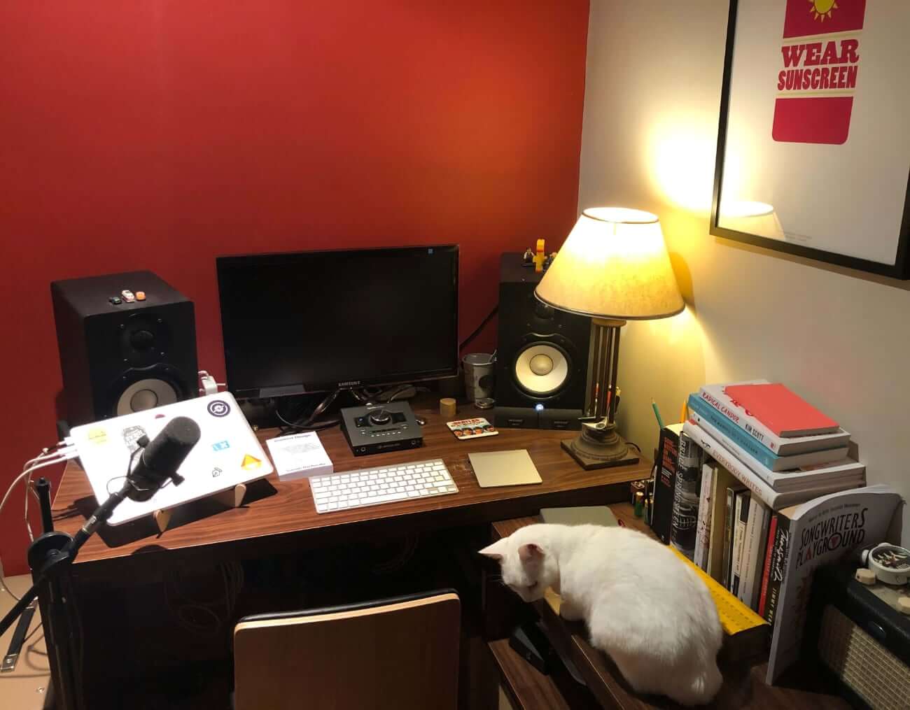 Image of Daniel's work from home setup, featuring Mollie the cat