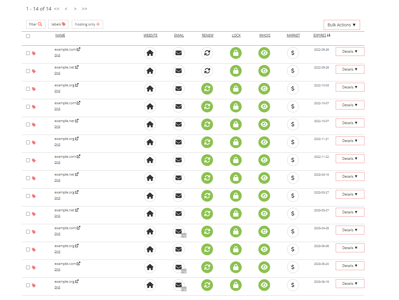 Example domain management table with placeholder domains and columns for website, email, renew status, lock status, WHOIS status, market price, and expiration date