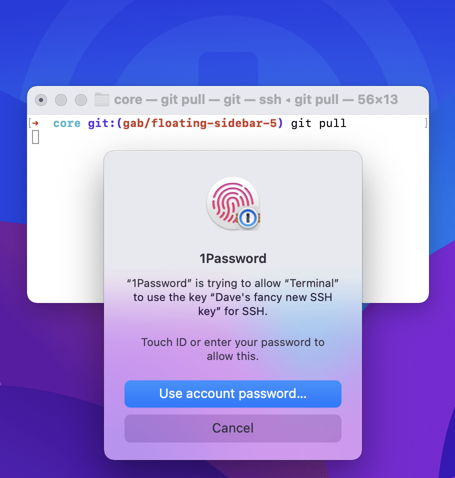1Password CLI Touch ID authorization