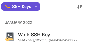 Item with the title 'Work SSH Key' in 1Password