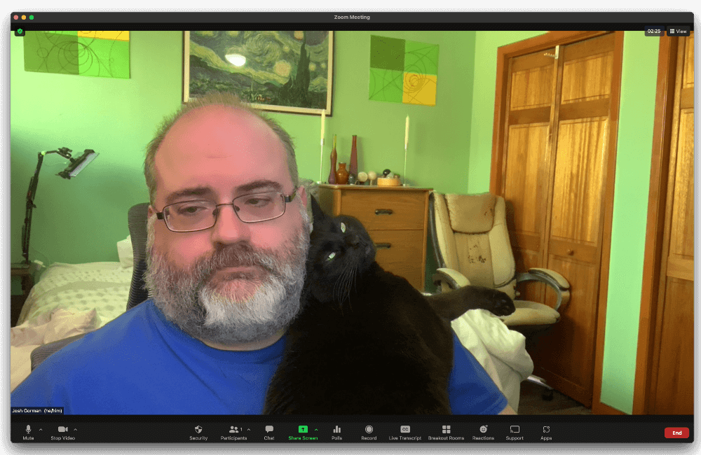 A screenshot of Josh Gorman on a Zoom call, while his adorable cat snuggles up on his shoulder