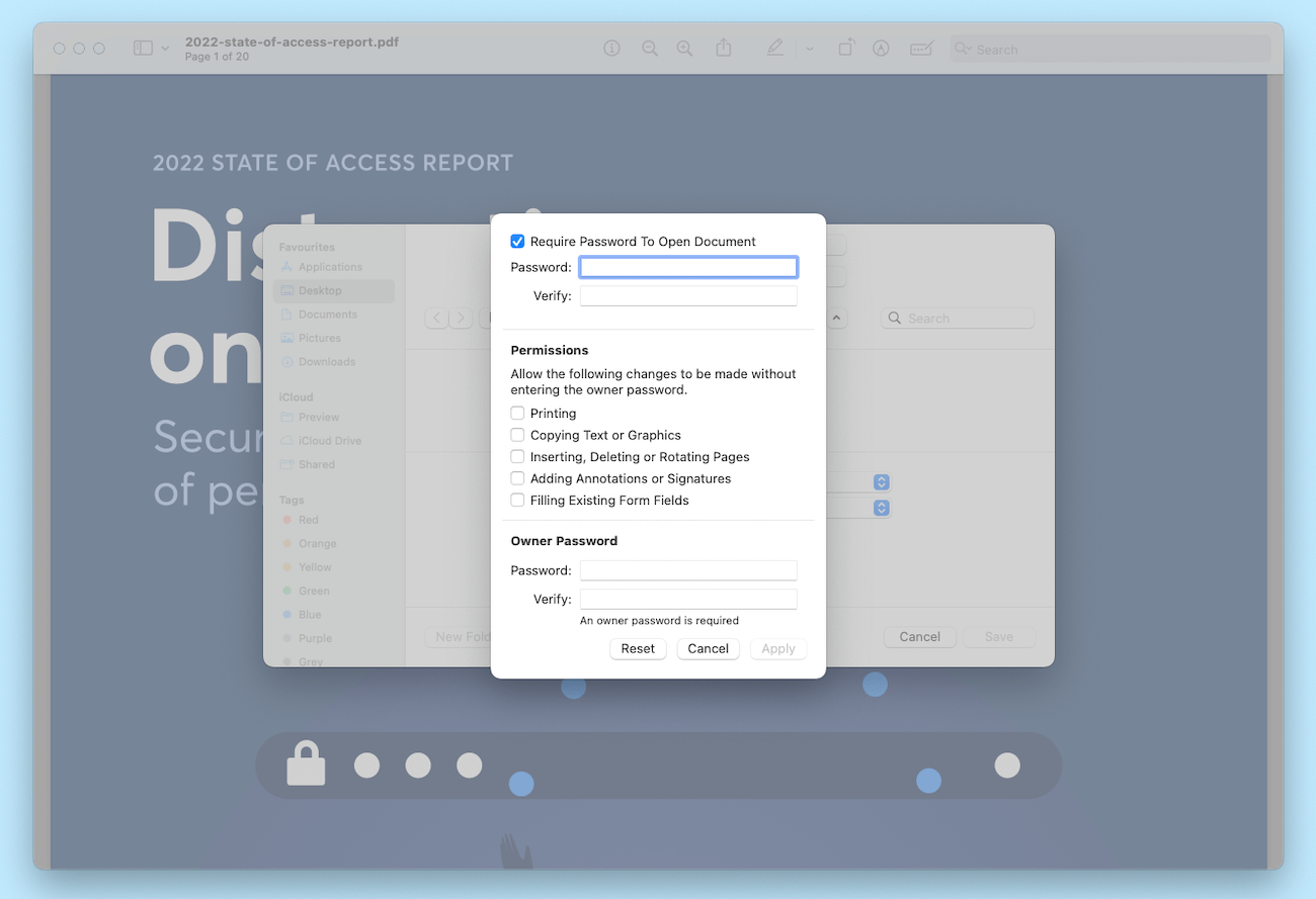 A screenshot captured on a Mac, showing the various password settings and permissions available in the Preview app.